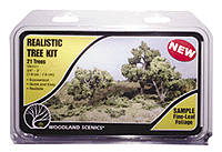 785-1111 WS Trees - Deciduous Medium Green