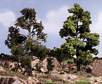 785-1112 WS Trees - Deciduous Medium Green