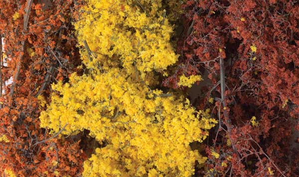 785-1135 WS Fine-Leaf Foliage - Fall Mx