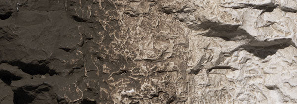 785-1221 WS Earth Colors - Raw Umber
