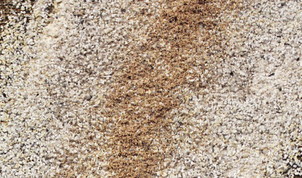 785-1287 WS Medium Gray Gravel