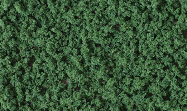 785-137 WS Underbrush Foliage - Dark Green