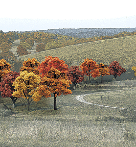 785-1575 WS Deciduous Trees - Fall 3/4 to 2"