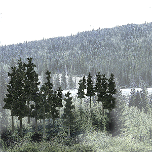 785-1580 WS Trees - Conifer 2-1/2 to 4"