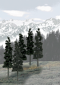 785-1582 WS Trees - Conifer 6 to 8"