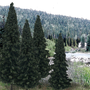 785-1585 WS Trees - 2-4" Evergreens