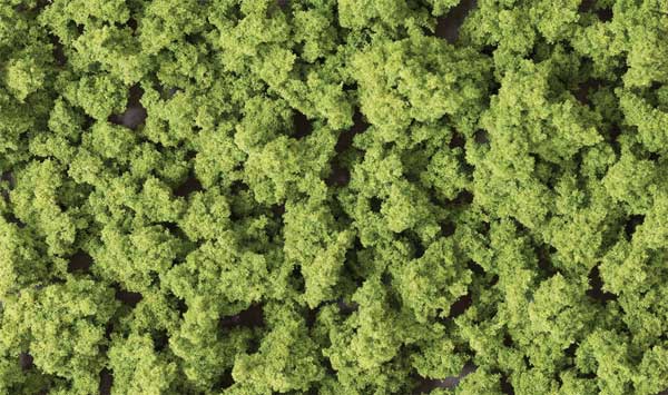 785-1645 WS Bushes Shaker - Light Green