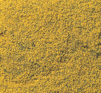 785-176 WS Flowering Foliage - Yellow