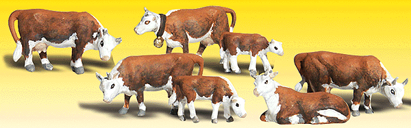 785-2144 WS N Hereford Cows