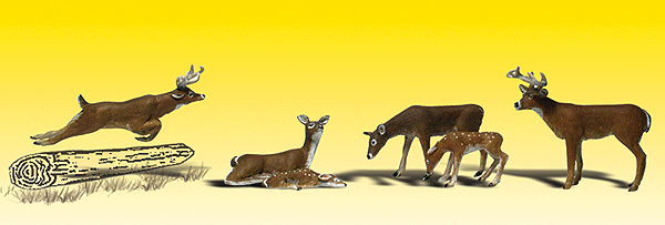 785-2185 WS N Deer White-Tail