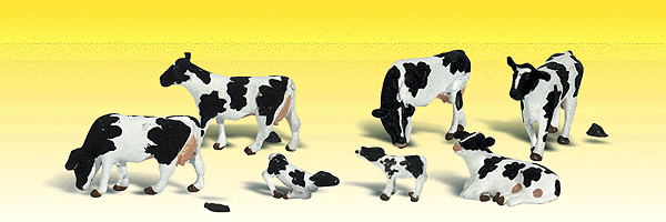 785-2187 WS N Holstein Cows