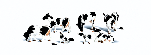 785-2724 WS O Holstein Cows