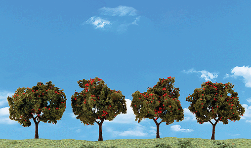 785-3591 WS Apple Trees - 2 to 3"