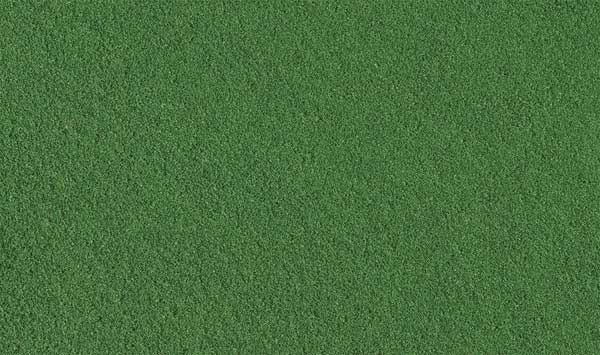 785-46 WS Turf - Weeds