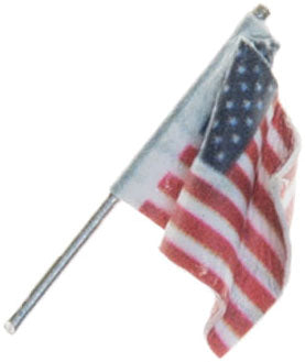 785-5953 WS U.S. Flag Wall Mount - Small