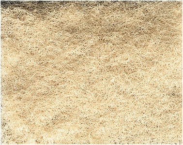 785-631 WS Grass Flock - Wild Honey