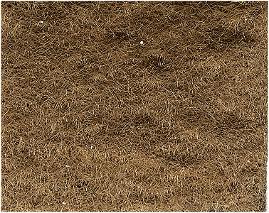 785-633 WS Grass Flock - Brunt Grass