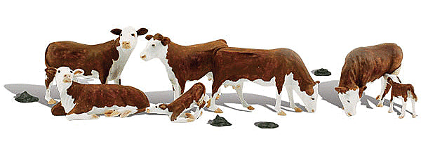 785-2767 WS O Hereford Cows