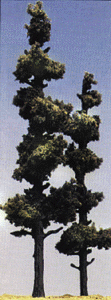 785-1104 WS Trees - Conifer Pine
