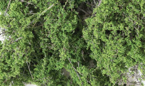 785-1131 WS Fine-Leaf Foliage - Medium Green
