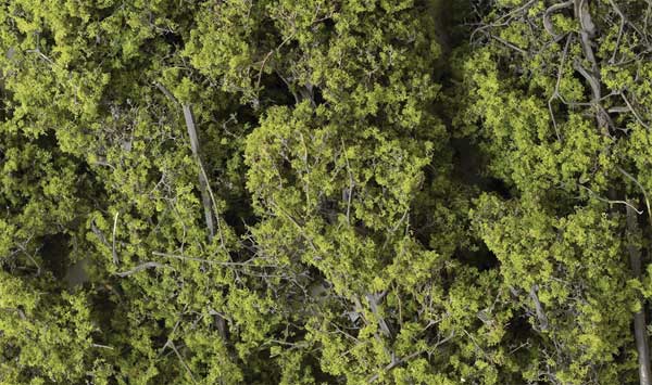 785-1132 WS Fine-Leaf Foliage - Light Green