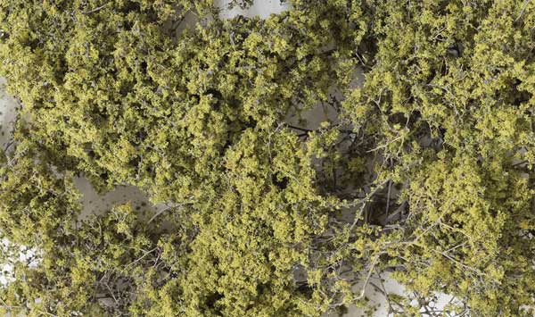 785-1133 WS Fine-Leaf Foliage - Olive Green