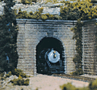 785-1153 WS N Portal - Single Cut Stone