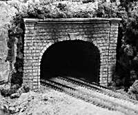 785-1157 WS N Portal - Double Cut Stone