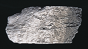 785-1218 WS Earth Colors - Stone Gray