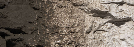 785-1221 WS Earth Colors - Raw Umber