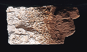 785-1222 WS Earth Colors - Brunt Umber