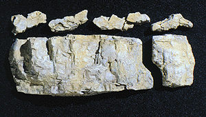 785-1243 WS Rock Mold - Base Rock