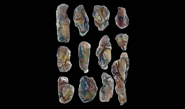 785-1246 WS Rock Mold - Creek Bed Rocks