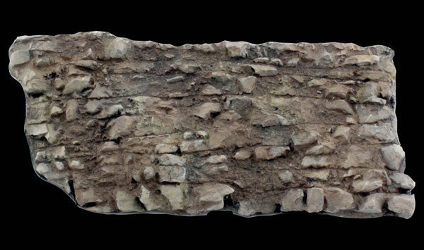 785-1248 WS Rock Mold - Rock Face