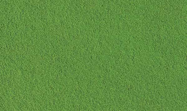785-1345 WS Turf Shaker - Green Grass Fine