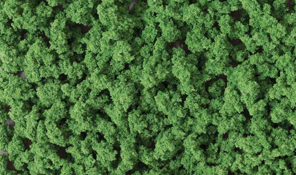 785-146 WS Bushes Clump-Foliage -- Medium Green