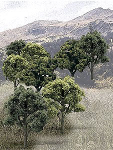 785-1572 WS Deciduous Trees - Mixed Green 3 to 5"