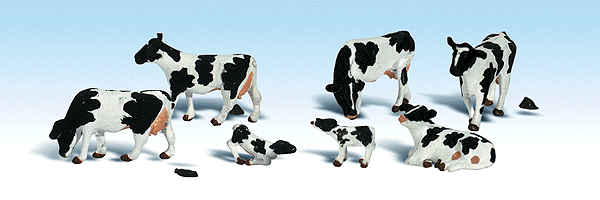 785-1863 WS HO Holstein Cows