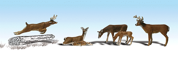 785-1884 WS HO Deer White-Tail