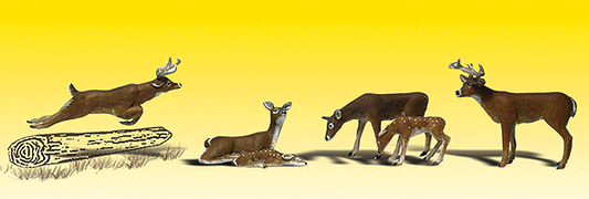 785-2185 WS N Deer White-Tail