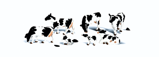 785-2724 WS O Holstein Cows