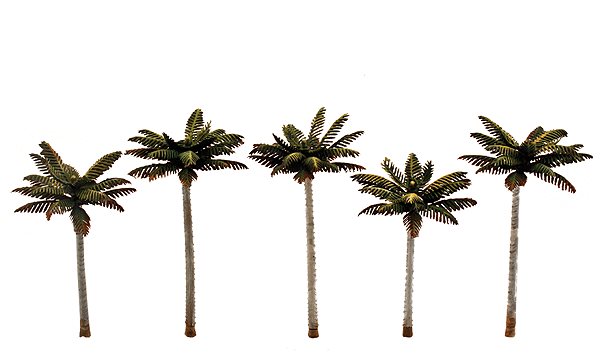 785-3597 WS Palm Trees - Small