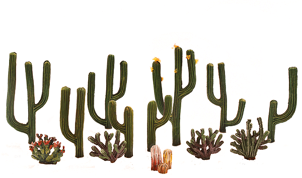 785-3600 WS Cactus Plants