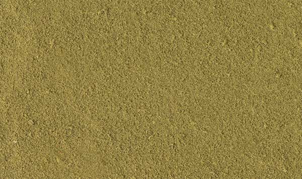 785-42 WS Turf - Fine Earth