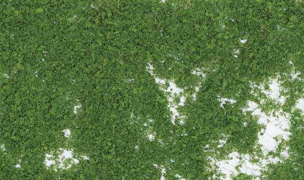 785-52 WS Foliage - Medium Green