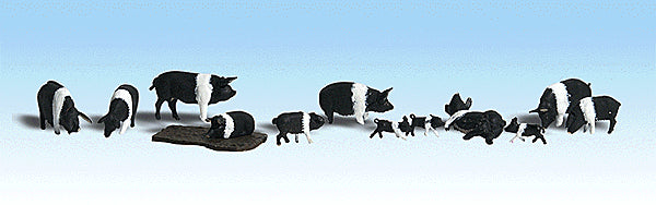 785-1864 WS HO Hampshire Pigs