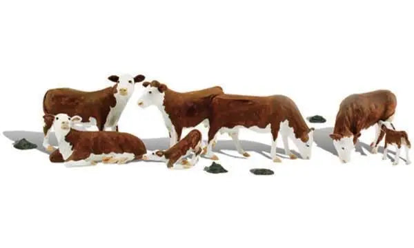 785-1843 WS HO Hereford Cows
