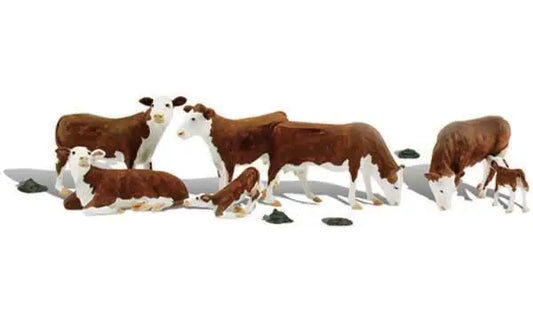 785-1843 WS HO Hereford Cows