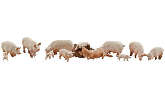 785-1957 WS HO Yorkshire Pigs